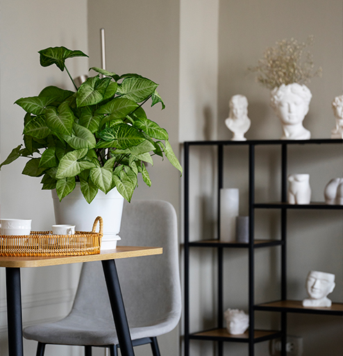 Huren-in-Reusel-met-Ben-straatman